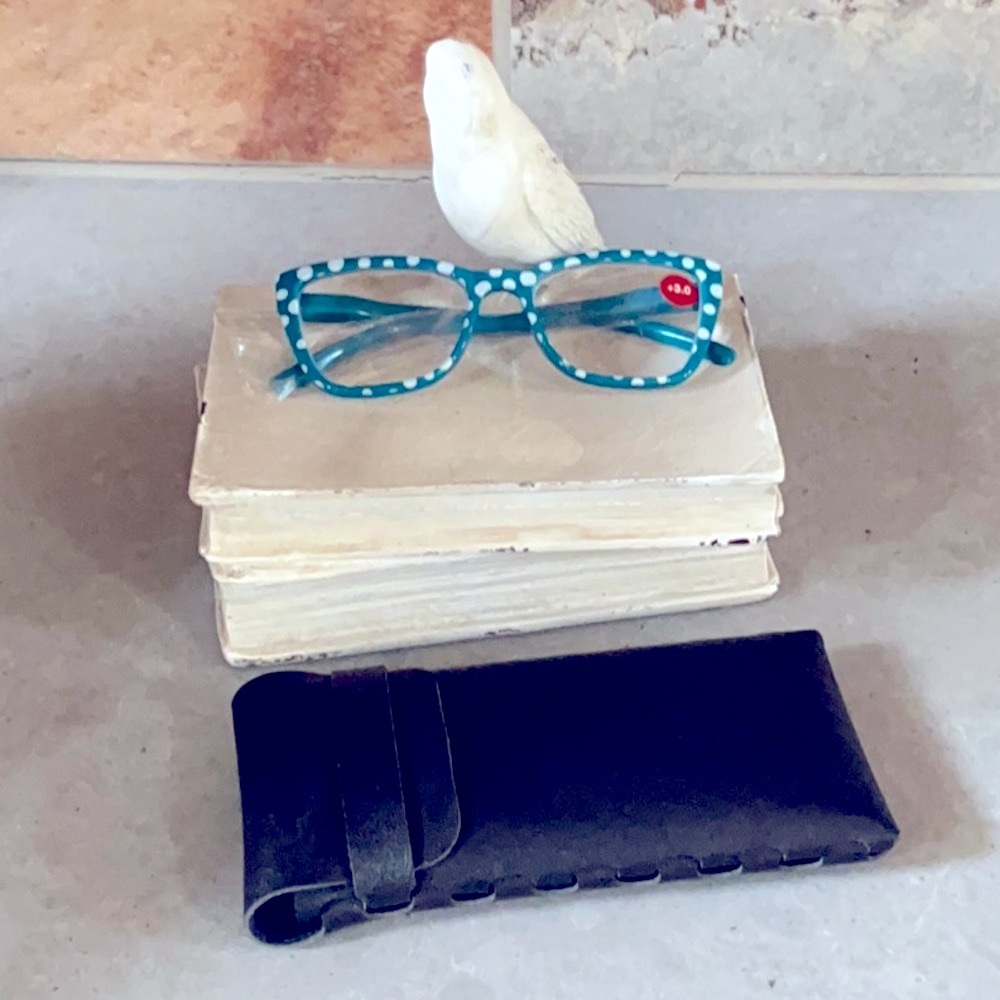 Spot On Reader with case